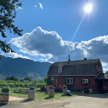 Load image into Gallery viewer, A captivating view of Clos du Soleil winery in Keremeos, British Columbia. The image showcases a charming red barn nestled amidst lush vineyards, with a majestic mountain range serving as a breathtaking backdrop.  The grandeur of the surrounding mountains adds a sense of awe and tranquility to the scene. This image invites you to experience the beauty and serenity of Clos du Soleil winery, a place where nature, craftsmanship, and the art of winemaking harmoniously intertwine. | Farm to Glass Wine Tours