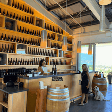 Load image into Gallery viewer, A women with her labradoodle approaches the dog friendly tasting bar at Tantalus Vineyards, in Kelowna, BC.  The bar has an eye catching wall of wooden shelving and the contrast of the wine bottles with black labels creates a sophisticated feel to the room.  | Farm to Glass Wine Tours