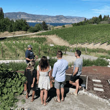 Load image into Gallery viewer, Jay Drysdale, owner and winemaker of Bella Wines in Naramata, BC chats with 4 guests about regenerative farming on the hillside overlooking rows of Gamay and Chardonnay on their estate property.  The vines are hugged by a bounty of cover crops, which is key to a healthy vineyard with a variety of trees along the property line and Okanagan Lake and the moutains of Summerland, BC in the background.  | Farm to Glass Wine Tours