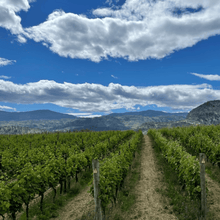 Load image into Gallery viewer, The picturesque 650-acre regenerative farm and vineyard at Covert Farms Family Estate in Oliver, BC. Rolling hills, lush vineyards, and sustainable farming practices create a captivating landscape | Farm to Glass Wine Tours